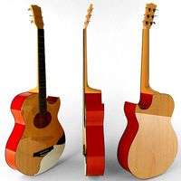 Acoustic Guitar