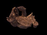 mountain 3D model202017