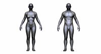 Realistic White Male and Female Low Poly