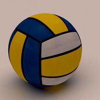 Volley Ball