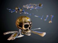 Skulls1 Infected Alien Bones