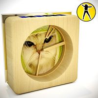 Solar clock