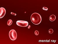 Red Blood Cell