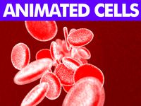 CELLS ANIMATED