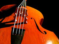 Double Bass
