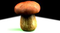 mushroom