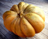 Pumpkin