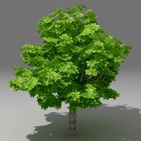 Tree12 3ds