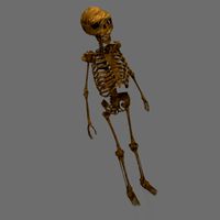 Low Poly Human Skeleton