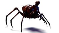 Spider RIGGED