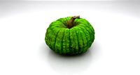 Pumpkin 01