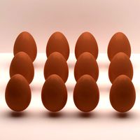 Egg model