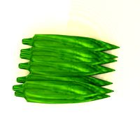 ladies finger
