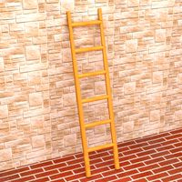 Bamboo Ladder