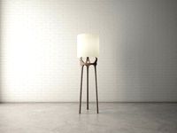 Custom Design Lamp