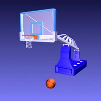 basketball & the nets