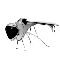 Locust