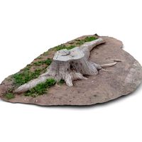 Tree Stump