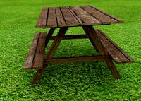 Picnic Table
