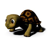 litlle turtle