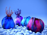 sea apple