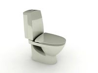 toilet
