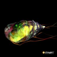Giardia Lamblia Bacterial