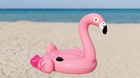 Flamingo Inflatable Toy