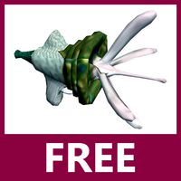free and funny alien gun