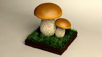 mushroom cepe