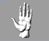 Hand Raise