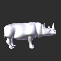 rhino
