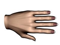 Human Hand