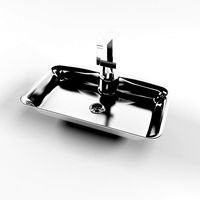 Sink MAX 2011
