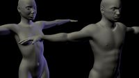 Nude female and male