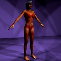 Female Lingerie Character Pack Rigged
