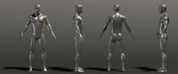 HUMAN---Male--N Pose