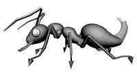 Sci-Fi Ant