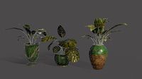 Lib Flowers