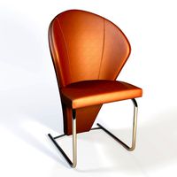 Chair Ronald Schmitt