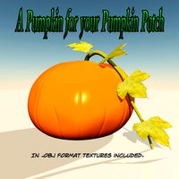 Pumpkin