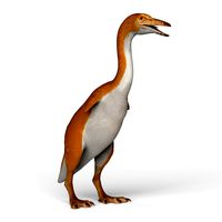Monster Bird