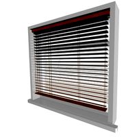 window and blinds