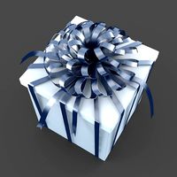 Christmas BOX Closed Ribbon2 white