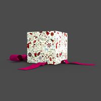 Christmas BOX Open4 Ribbon art