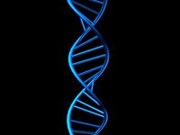 DNA