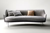 Flexform Guscio sofa