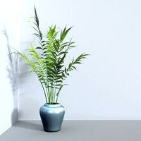areca palm_ LowPoly