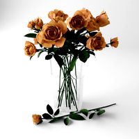 Bouquet of Orange Roses