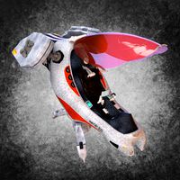 Single-Seater Ship